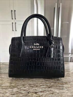 Coach Andrea Mini Carryall